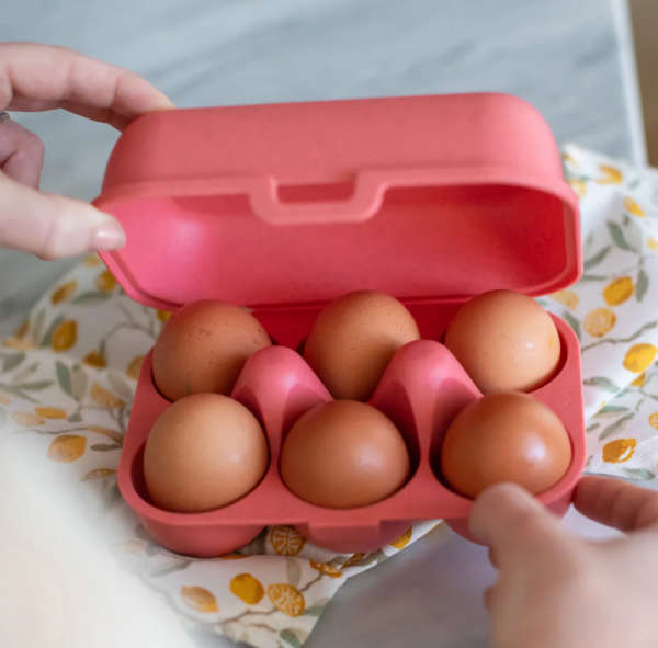 eierbox eggs to go
