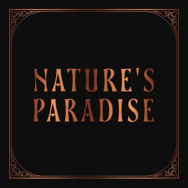 Kerstpakket Natural Grace - Afbeelding 3