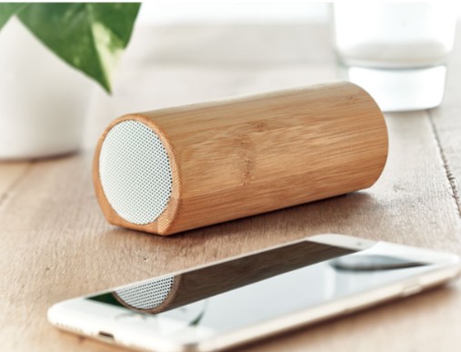 Bamboo speaker